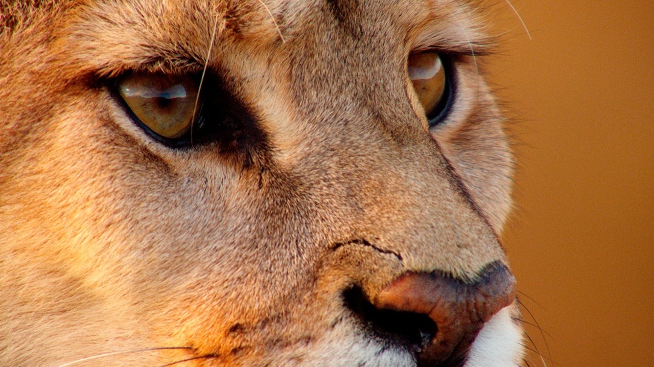 Abenteuer Wildnis