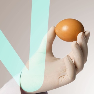 Handholding an egg