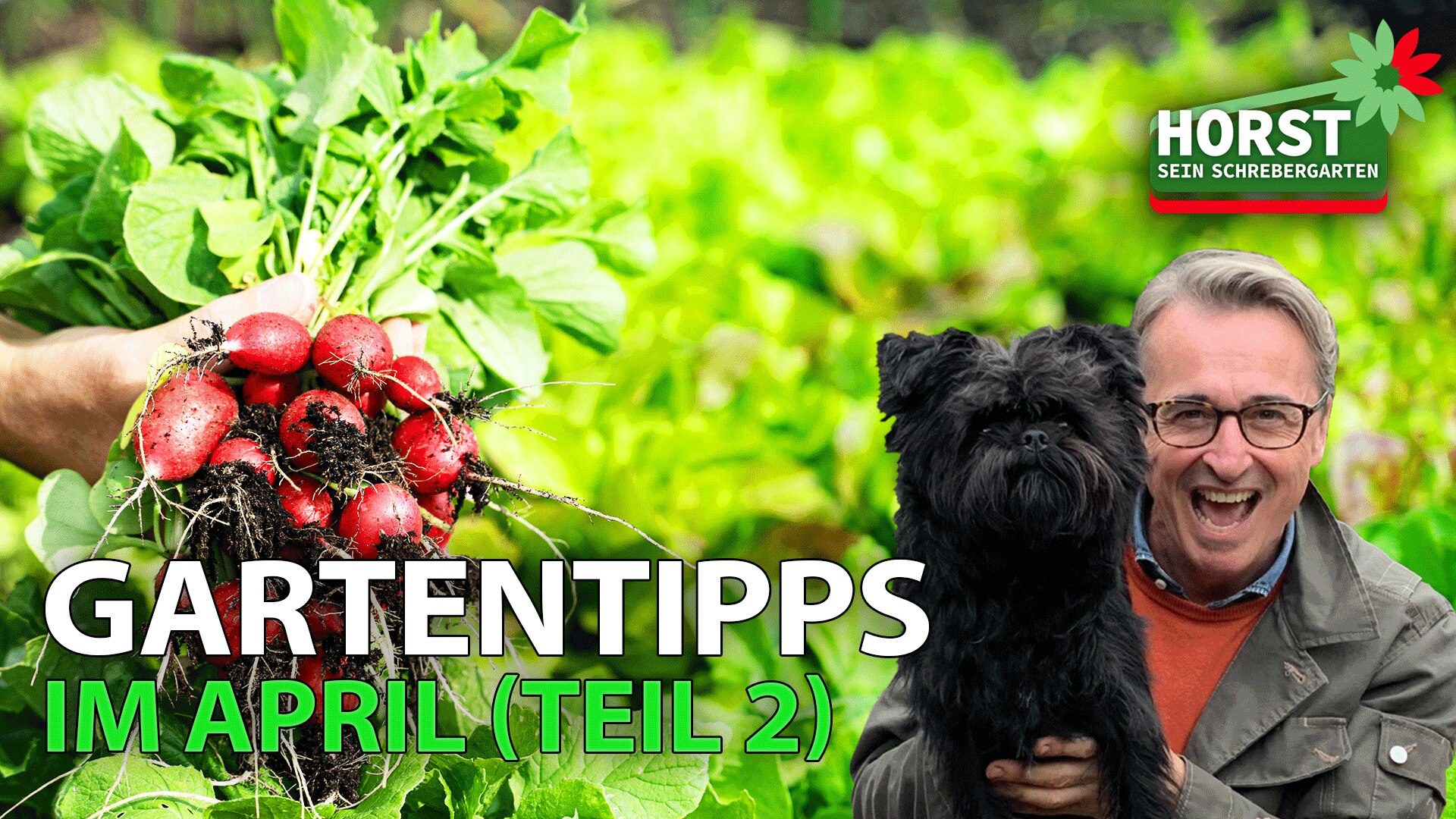 rbb Gartenzeit Tipps mit Horst ARD Mediathek