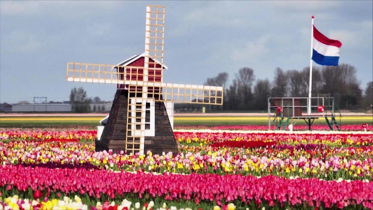 Tulpenfrühling in den Niederlanden