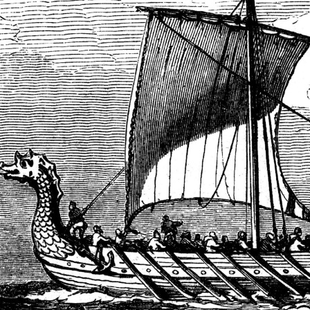 Ein Wikingerschiff auf See