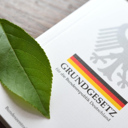 Blatt auf dem Deutschen Grundgesetz, Klimaschutz im Grundgesetz
