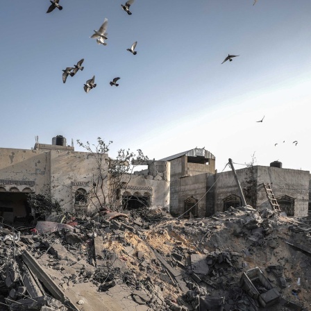 Zerstörtes Gebäude im Gaza-Streifen. Darüber fliegen Vögel.