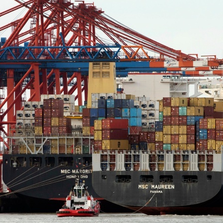 Das Containerschiff MSC Maureen legt vom Containerterminal Eurogate in Hamburg ab 