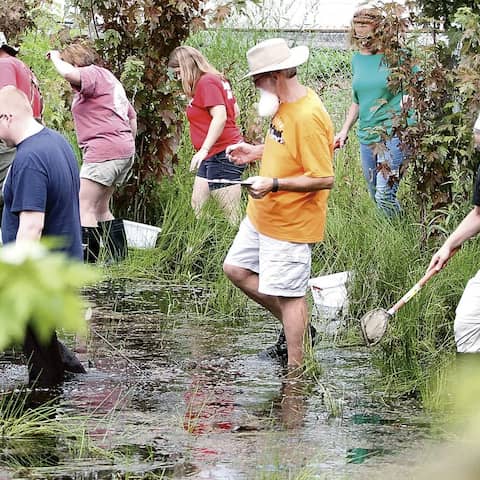 Citizen Science-Projekte gibt es weltweit und Millionen Menschen machen mit: Lehrer sammeln in einem Teich in Maryville, Tennessee /USA Tiere und Vegetation für wissenschaftliche Forschung im Rahmen eines Citizen Science-Kurses