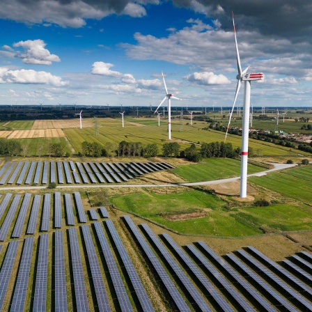 Eine Photovoltaik-Freiflächenanlage, daneben Windräder