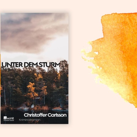 Das Buchcover des Krimis von Christoffer Carlsson, "Unter dem Sturm", auf orange-weißem Hintergrund.