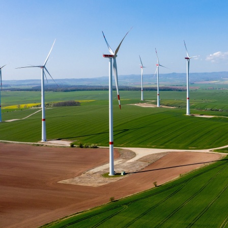 Windräder in einem Windpark stehen mangels Wind still.