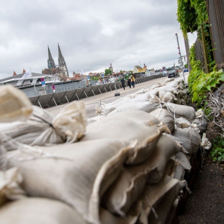 Ein Uferweg in Regensburg ist mit einer mobilen Hochwasser-Schutzwand gesichert, Sandsäcke liegen bereit. (Bild: picture alliance/dpa/Pia Bayer)