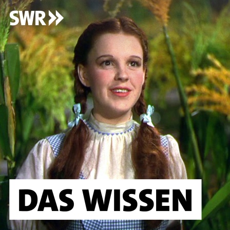 Judy Garland im Film &#034;The Wizard Of Oz&#034; (USA 1939)