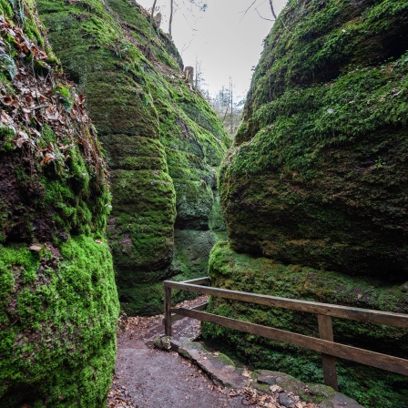 Ein Weg schlängelt sich durch die steilen, Moos-bewachsenen Felswände der Drachenschlucht bei Eisenach, einem viel besuchten Ausflugsziel in Thüringen