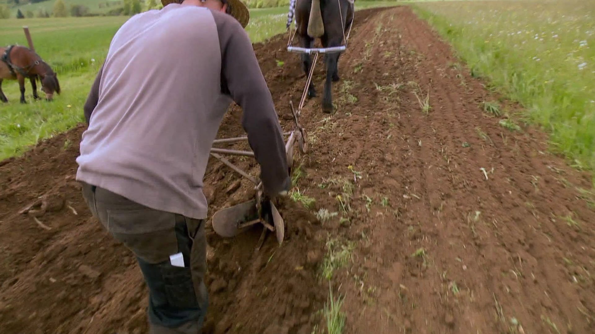 natürlich!: Landwirtschaft wie vor 100 Jahren | ARD Mediathek