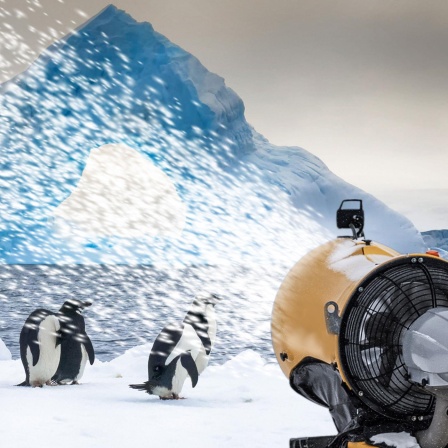 Antarktis - Kann künstliche Beschneiung das Schelfeis retten?