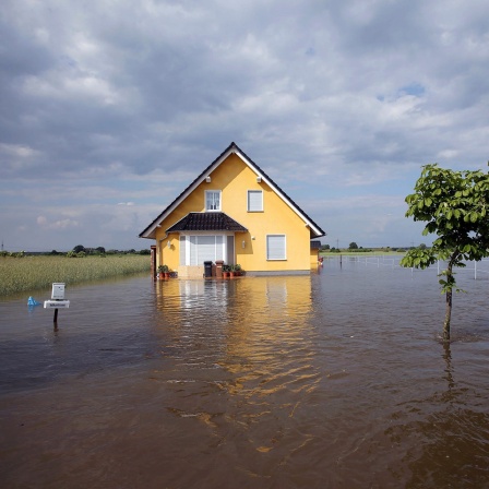 Ein Einfamilienhaus steht am 11.06.2013 im Hochwasser am Dorfrand von Schönhausen