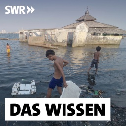 Kinder spielen neben einer überfluteten Moschee, die hinter der Ufermauer im Muara Baru-Gebiet in Jakarta steht. Um die tief liegende Hauptstadt Jakarta vor dem Untergang im Meer zu bewahren, hatte Indonesiens Präsident Joko Widodo den Bau einer riesigen Ufermauer angeordnet