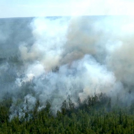 Mega-Waldbrände - Wie die Feuer die Klimakrise anheizen