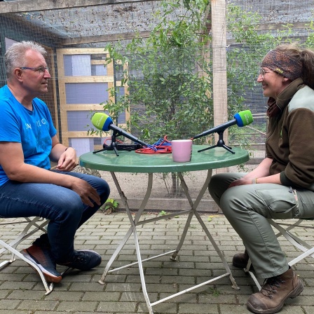 Ein Mann und eine Frau sitzen sich in einem Tiergehege an einem Tisch mit Mikrofonen gegenüber.