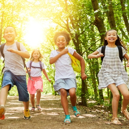 Kinder rennen fröhlich lachend durch den Wald