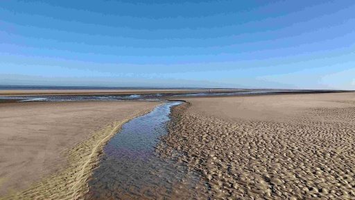 Bild: Barbara Reichardt / EyeEm