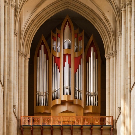 Orgeln in Mitteldeutschland