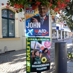 Wahlplakate der AfD und der Grünen zur Landtagwahl in Brandenburg. Bernau bei Berlin © picture alliance / Thomas Bartilla/ Geisler-Fotopress