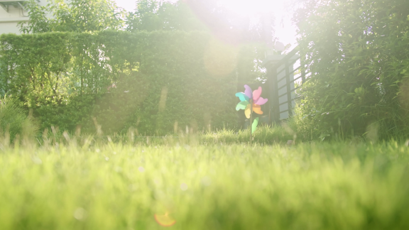 Wer Weiß Denn Sowas? - Wovon Sind 14 Prozent Der Gartennutzer In Deutschland Genervt.