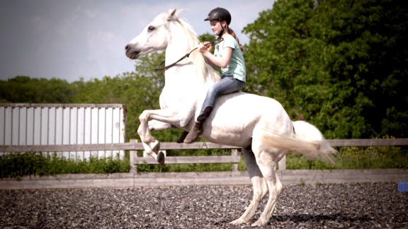 Hiphorses - Mia Und Charly Auf Dem Bauernhof (1)