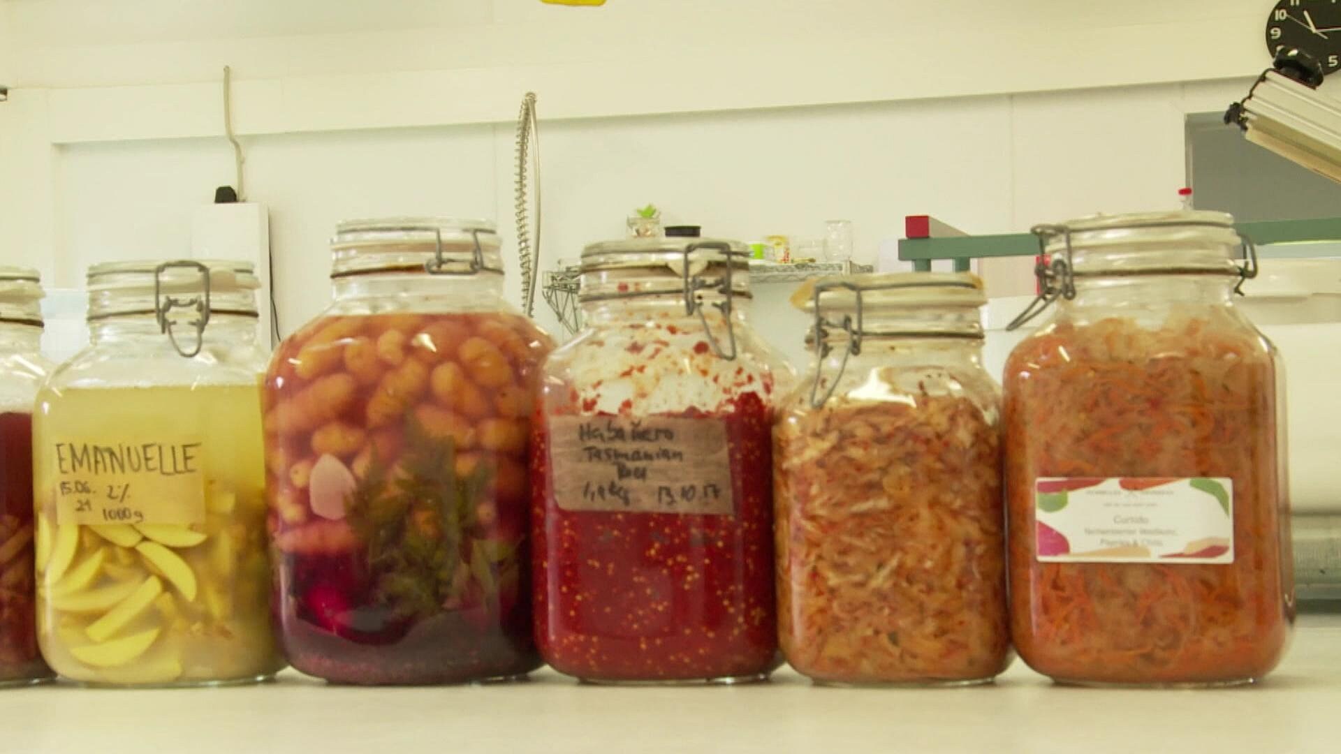 MDR Garten: Fermentieren: Sie wird Gemüse schonend haltbar gemacht | ARD Mediathek