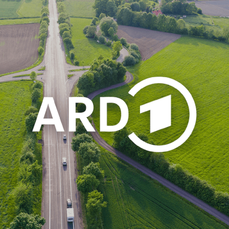 Eine Autobahn aus der Vogelperspektive. Rechts und Links von der Autobahn grüne Landschaften, Äcker und Bäume.