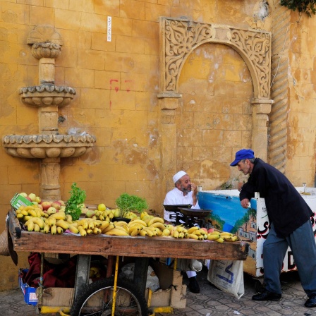 Marokko: Gärten in Marrakesch | Mythos Casablanca | Geisterglaube der Gnawa