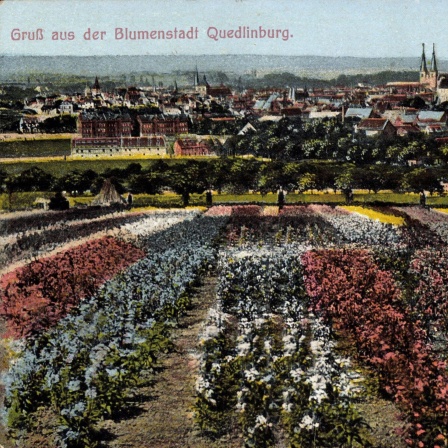 Stadtpanorama der Blumenstadt Quedlinburg