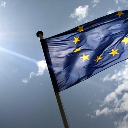 Die Europaflagge.