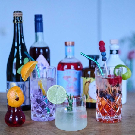 Alkoholfreie Cocktails (Aperitivo, Gin Tonic, Limello Spritz und Aperol Wild Berry) stehen zusammen mit den alkoholfreie Spirituosen Flaschen (Bild: picture alliance/dpa/Annette Riedl)