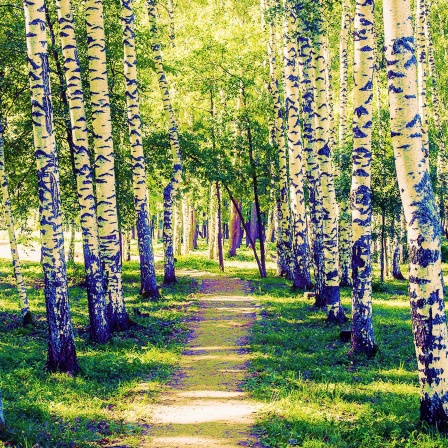 Ein unbeschwerter Sommer auf dem Land - und die erste Liebe