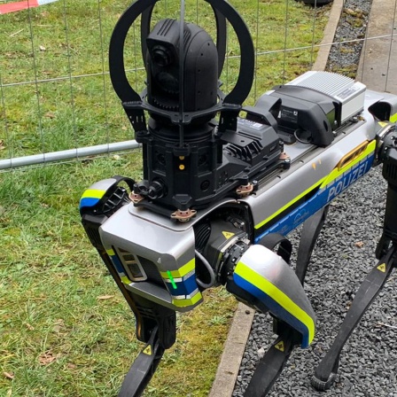 Der Roboter-Hund mit Armen und Beinen in Polizei-Farben