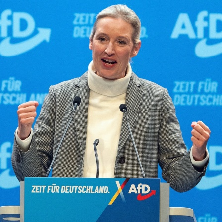 Alice Weidel, AfD-Bundesvorsitzende, steht zum Abschluss des Bundesparteitags ihrer Partei auf der Bühne.