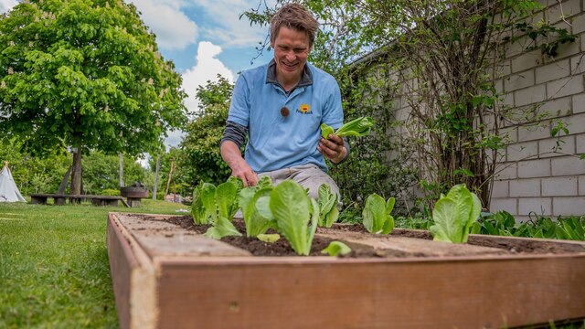 Rasch durch den Garten Videos der Sendung ARD Mediathek