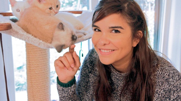 Anna, Paula, Pia Und Die Tiere - Anna Und Die Haustiere: Britisch Kurzhaar Katze