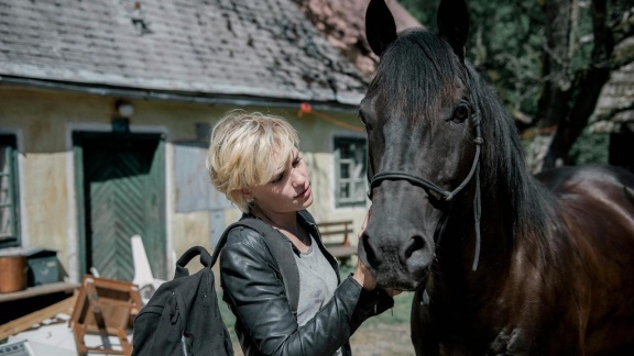 Filme Im Ersten - Gestüt Hochstetten (3) - Die Enthüllung