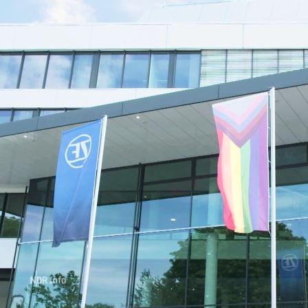 Fahnen vor dem Gebäude von ZF Lifetec Friedrichshafen