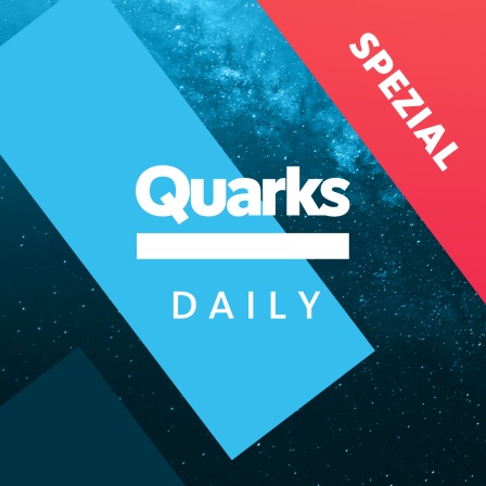 Quarks Daily Spezial Schriftzug