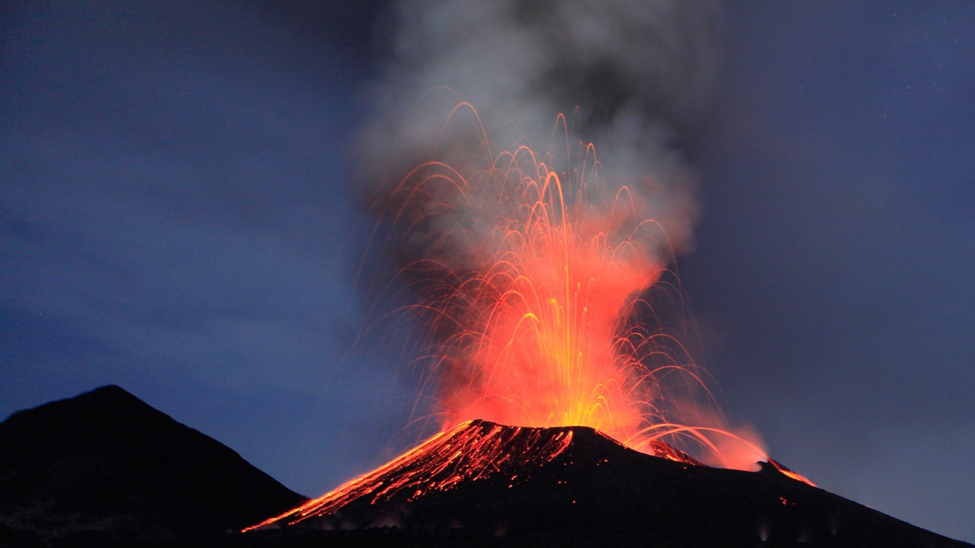 Expeditionen ins Tierreich Expedition Neuguinea Baumkängurus und