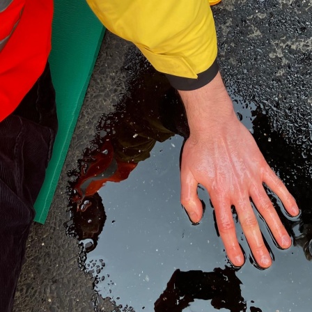 Ein Klima-Aktivist hat seine Hand auf einer Straße festgeklebt. 