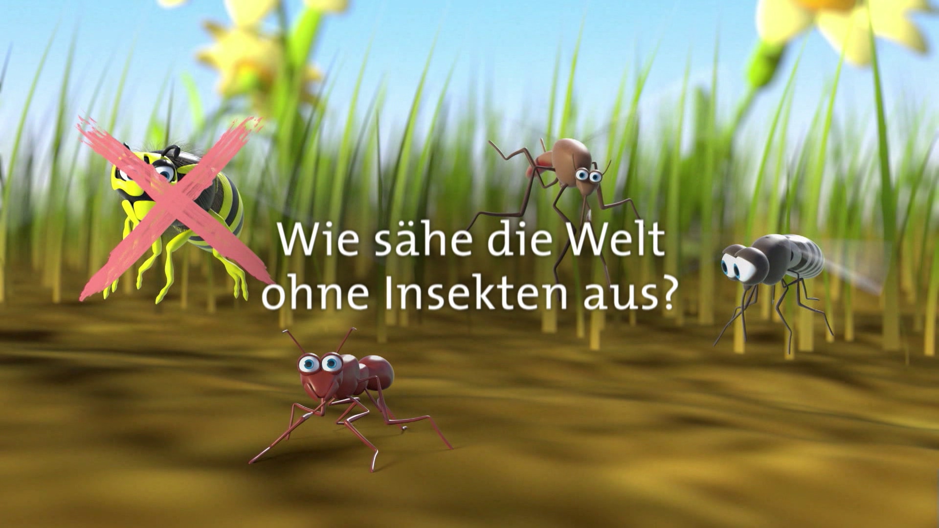 Planet Schule: Wie sähe die Welt ohne Insekten aus? · Frage trifft Antwort | ARD Mediathek