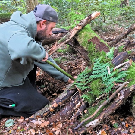 Survival-Outdoor – Abenteuerwandern in der "Wildnis"