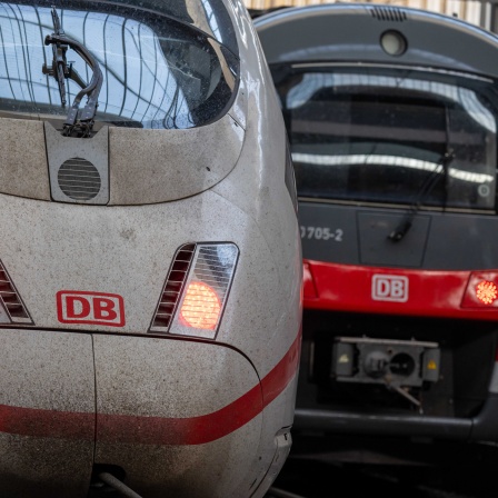 Zwei Züge der Deutschen Bahn stehen im Münchner Hauptbahnhof (Bild: dpa / Peter Kneffel)