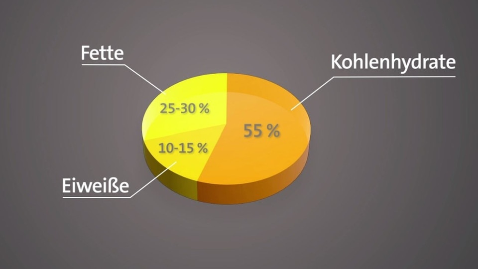 alpha Lernen Biologie Bestandteile der Nahrung die Nährstoffe ARD Mediathek