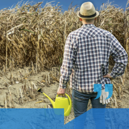 Ein Landwirt steht mit einer Gießkanne vor einem trockenen Feld