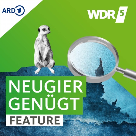 WDR 5 Neugier genügt
