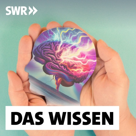 Graphik eines Kopfes mit &#034;Kopfgewitter&#034; liegt auf geöffneten Handflächen: Epileptische Anfälle sind seit Jahrtausenden bekannt. Heute ermöglichen chirurgische Eingriffe, Gentherapien oder Hirnschrittmacher vielen Betroffenen einen normalen Alltag.